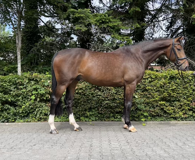 Chuck Chuck Standbild für Homepage.png