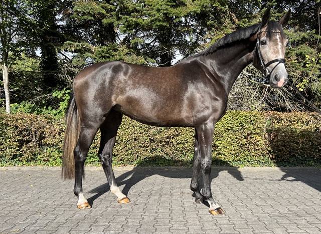 Pitch Perfect Bild für Homepage.jpg